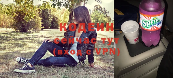 мдпв Бородино