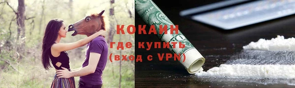 шишки Богданович