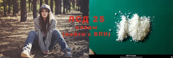 шишки Богданович