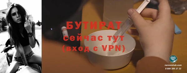 мдпв Бородино