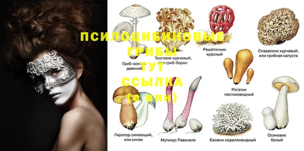 PSILOCYBIN Богородск