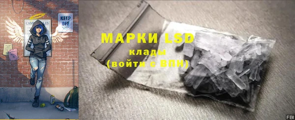 мдпв Бородино