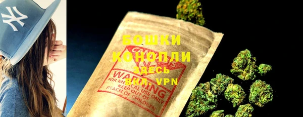 PSILOCYBIN Богородск