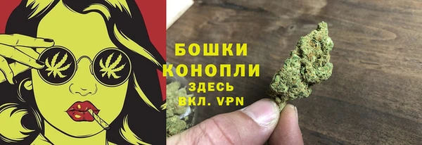 шишки Богданович
