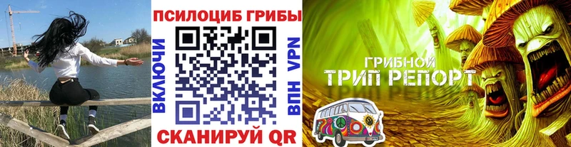 Галлюциногенные грибы ЛСД  Лыткарино 